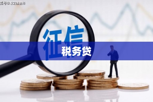 六横税务贷