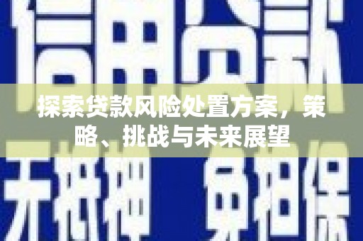 六横探索贷款风险处置方案，策略、挑战与未来展望