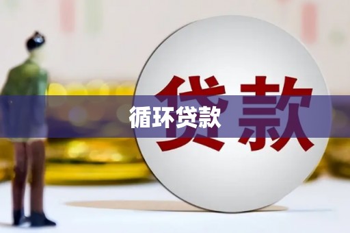 六横循环贷款