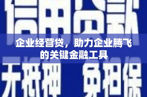六横企业经营贷，助力企业腾飞的关键金融工具