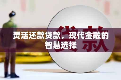 六横灵活还款贷款，现代金融的智慧选择