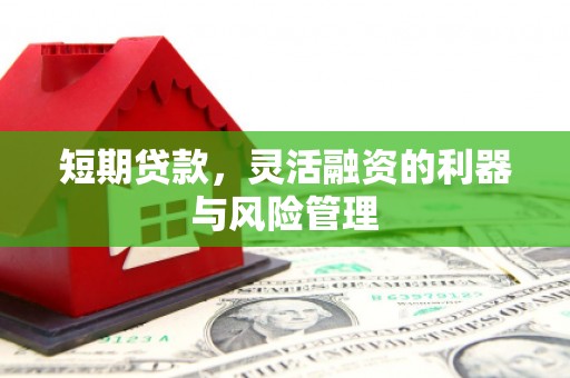 六横短期贷款，灵活融资的利器与风险管理