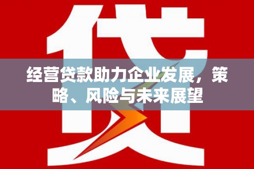 六横经营贷款助力企业发展，策略、风险与未来展望