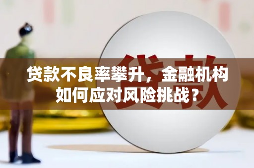 六横贷款不良率攀升，金融机构如何应对风险挑战？