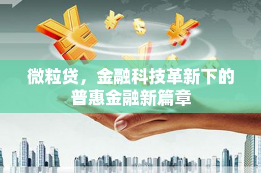 六横微粒贷，金融科技革新下的普惠金融新篇章