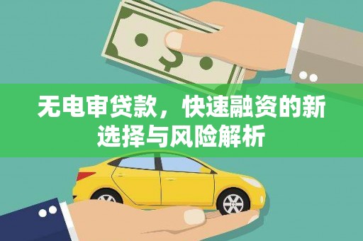 六横无电审贷款，快速融资的新选择与风险解析