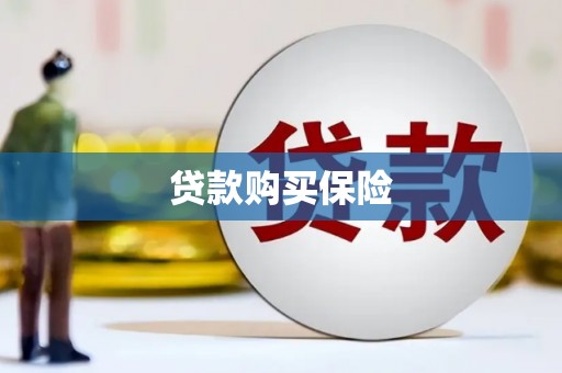 六横贷款购买保险