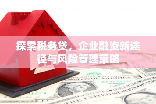 六横探索税务贷，企业融资新途径与风险管理策略