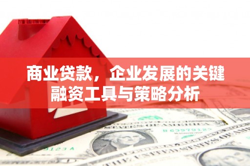 六横商业贷款，企业发展的关键融资工具与策略分析