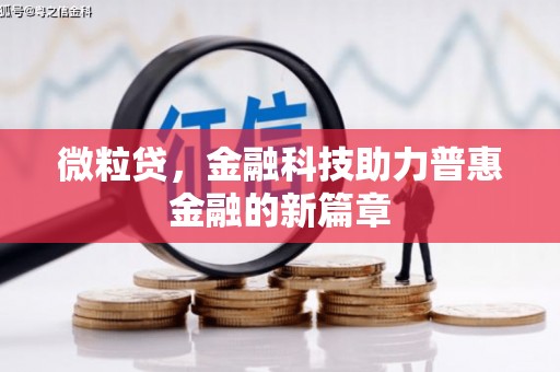 六横微粒贷，金融科技助力普惠金融的新篇章