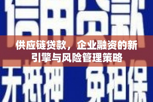 六横供应链贷款，企业融资的新引擎与风险管理策略