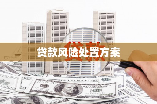 六横贷款风险处置方案
