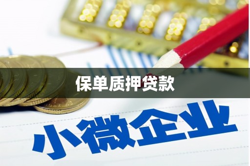 六横保单质押贷款