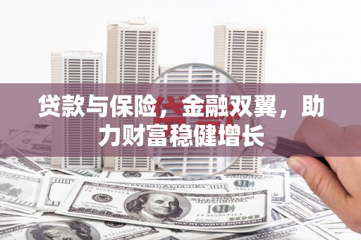 六横贷款与保险，金融双翼，助力财富稳健增长