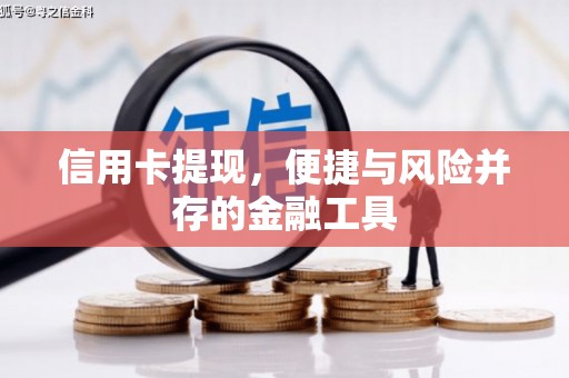 六横信用卡提现，便捷与风险并存的金融工具