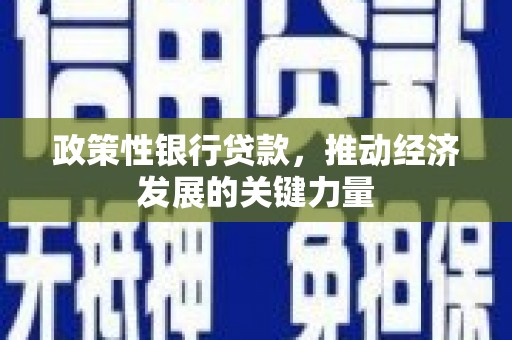 六横政策性银行贷款，推动经济发展的关键力量