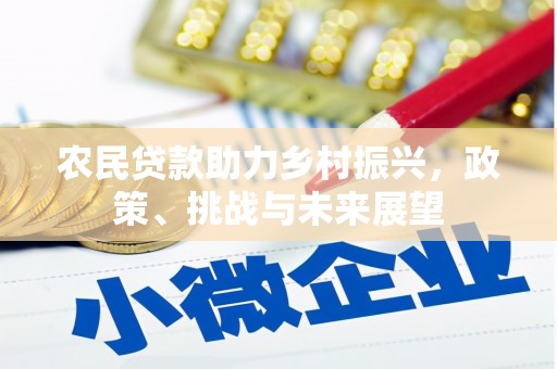 六横农民贷款助力乡村振兴，政策、挑战与未来展望
