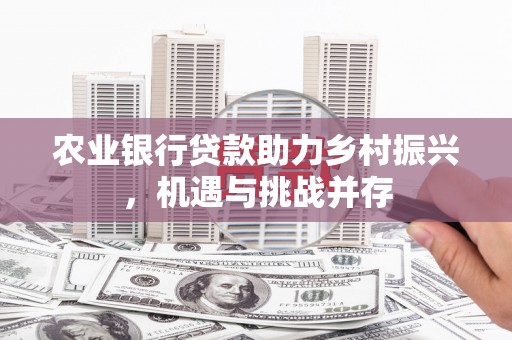 六横农业银行贷款助力乡村振兴，机遇与挑战并存
