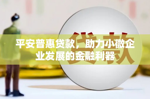 六横平安普惠贷款，助力小微企业发展的金融利器