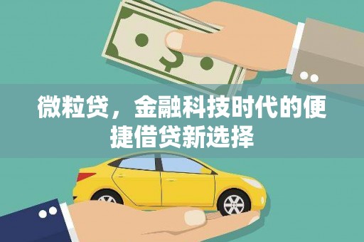 六横微粒贷，金融科技时代的便捷借贷新选择