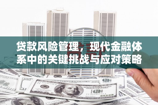 六横贷款风险管理，现代金融体系中的关键挑战与应对策略