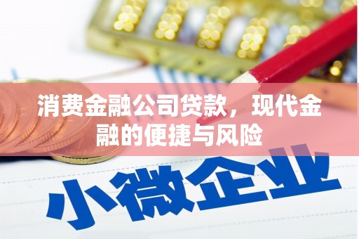 六横消费金融公司贷款，现代金融的便捷与风险