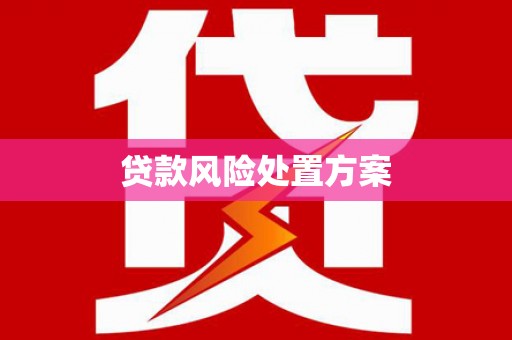 六横贷款风险处置方案