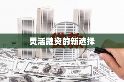 六横灵活融资的新选择
