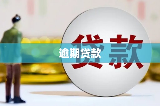 六横逾期贷款