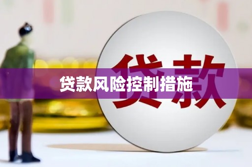 六横贷款风险控制措施