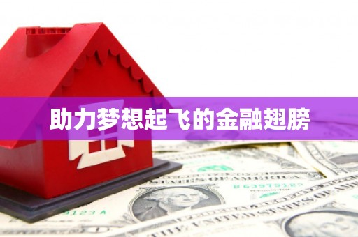 六横助力梦想起飞的金融翅膀