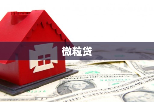 六横微粒贷