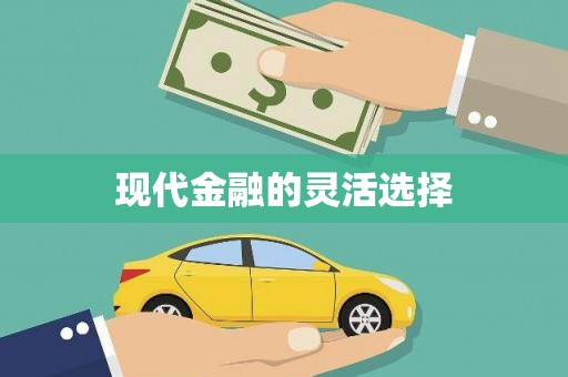 六横现代金融的灵活选择