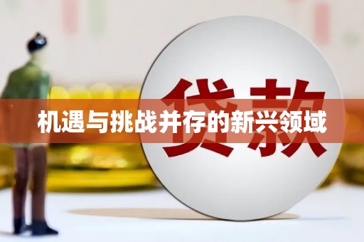 六横机遇与挑战并存的新兴领域