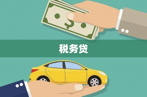 六横税务贷