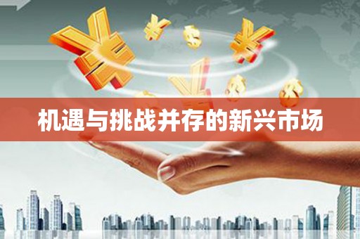 六横机遇与挑战并存的新兴市场