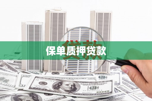 六横保单质押贷款