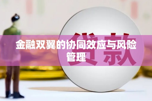 六横金融双翼的协同效应与风险管理