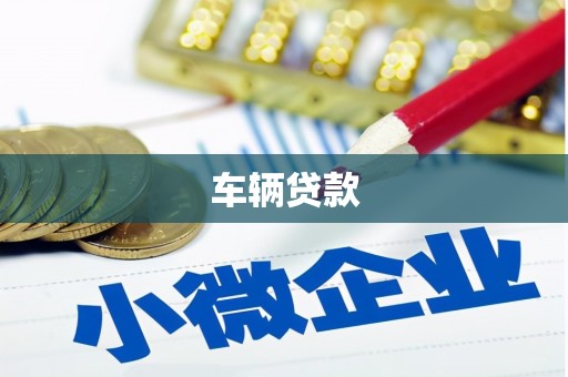 六横车辆贷款