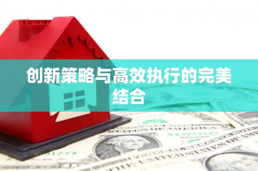 六横创新策略与高效执行的完美结合