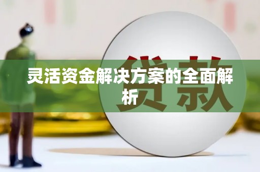 六横灵活资金解决方案的全面解析