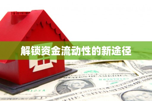 六横解锁资金流动性的新途径