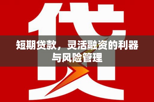 六横短期贷款，灵活融资的利器与风险管理