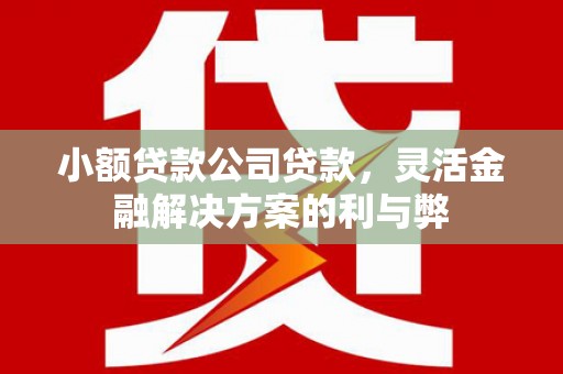 六横小额贷款公司贷款，灵活金融解决方案的利与弊