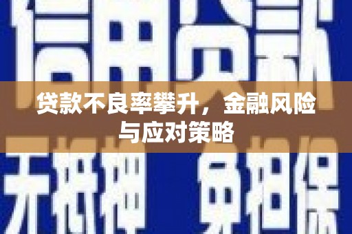 六横贷款不良率攀升，金融风险与应对策略