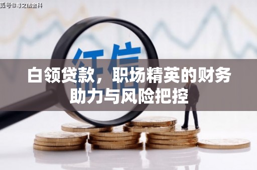 六横白领贷款，职场精英的财务助力与风险把控